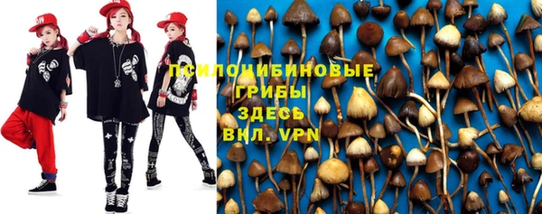 кокаин Ельня
