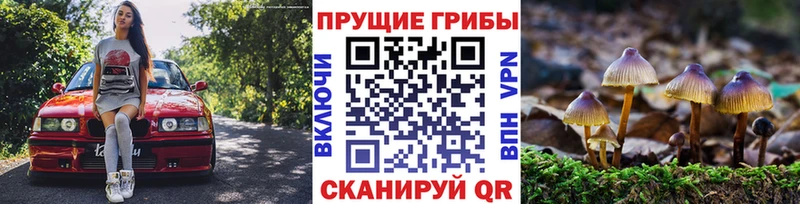Купить где  Звенигород  Галлюциногенные грибы ЛСД 